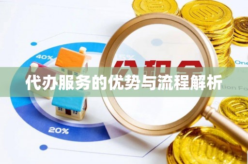 七星代办服务的优势与流程解析