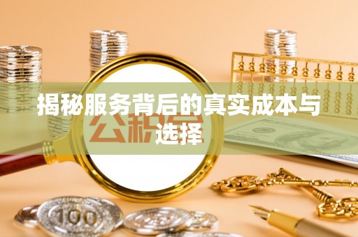 七星揭秘服务背后的真实成本与选择