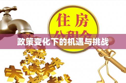 七星政策变化下的机遇与挑战