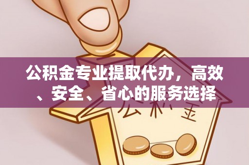 七星公积金专业提取代办，高效、安全、省心的服务选择