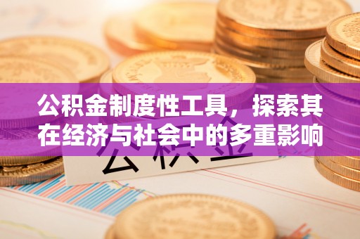 七星公积金制度性工具，探索其在经济与社会中的多重影响