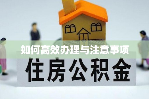 七星如何高效办理与注意事项