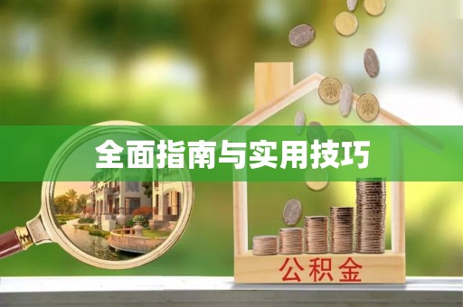 七星全面指南与实用技巧