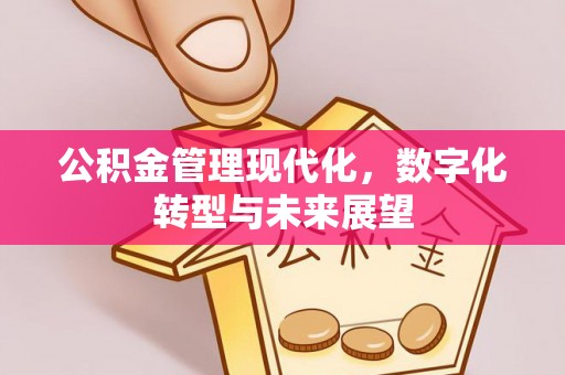七星公积金管理现代化，数字化转型与未来展望