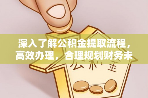 七星深入了解公积金提取流程，高效办理，合理规划财务未来