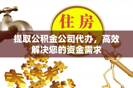 七星提取公积金公司代办，高效解决您的资金需求