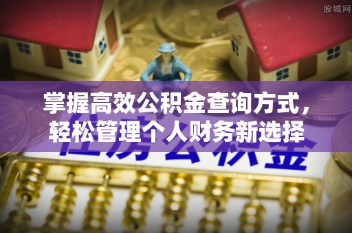 七星掌握高效公积金查询方式，轻松管理个人财务新选择