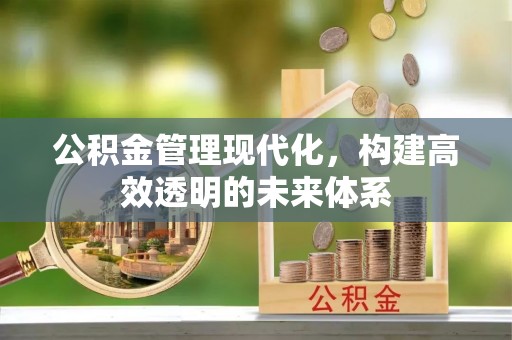 七星公积金管理现代化，构建高效透明的未来体系