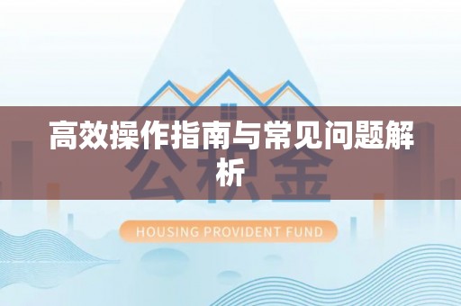 七星高效操作指南与常见问题解析