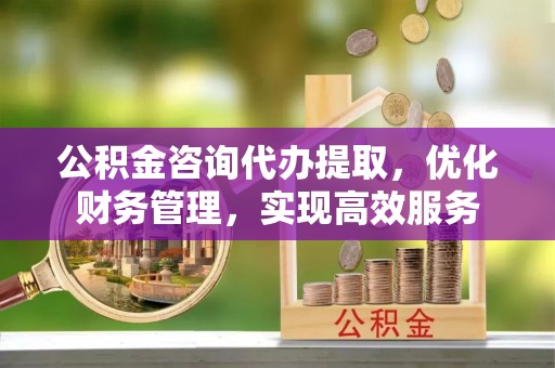 七星公积金咨询代办提取，优化财务管理，实现高效服务