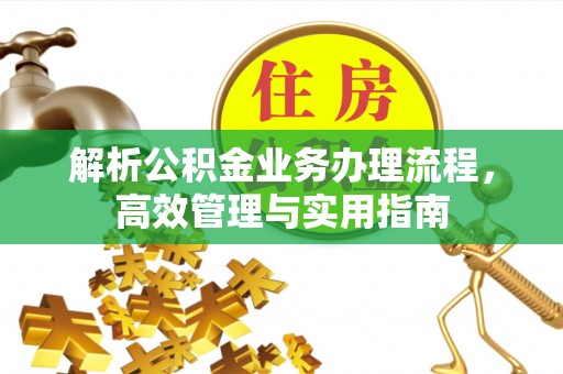 七星解析公积金业务办理流程，高效管理与实用指南
