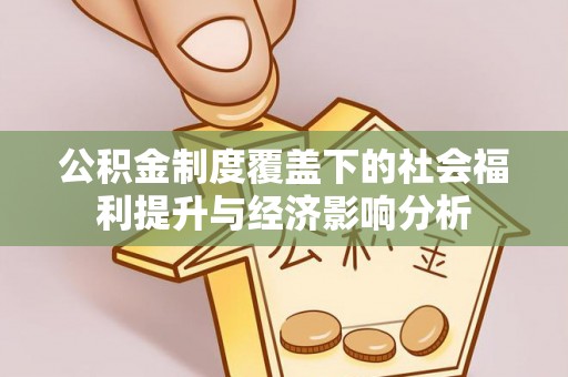 七星公积金制度覆盖下的社会福利提升与经济影响分析