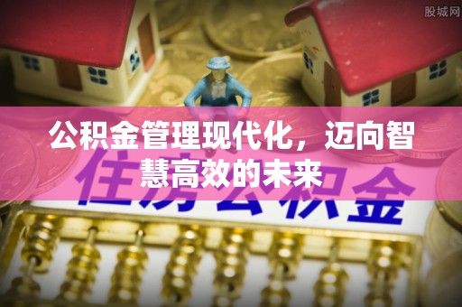 七星公积金管理现代化，迈向智慧高效的未来
