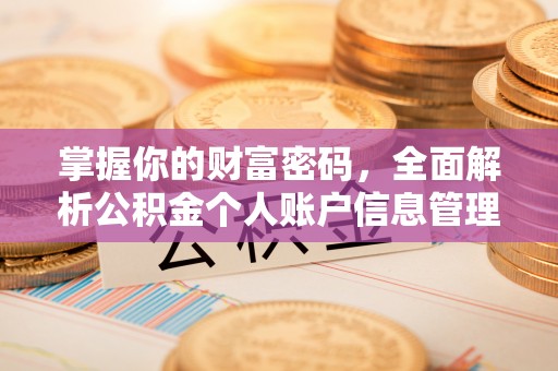 七星掌握你的财富密码，全面解析公积金个人账户信息管理