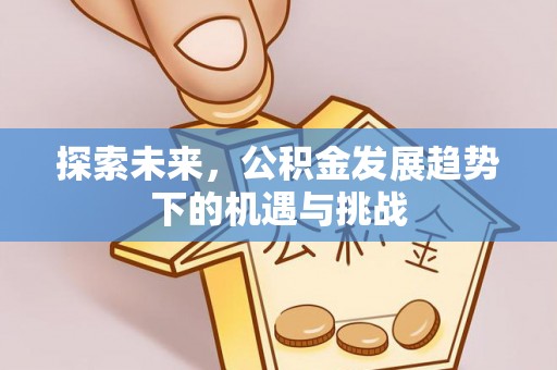 七星探索未来，公积金发展趋势下的机遇与挑战