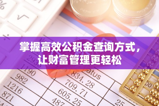 七星掌握高效公积金查询方式，让财富管理更轻松