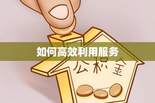 七星如何高效利用服务