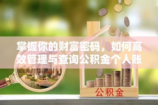 七星掌握你的财富密码，如何高效管理与查询公积金个人账户信息