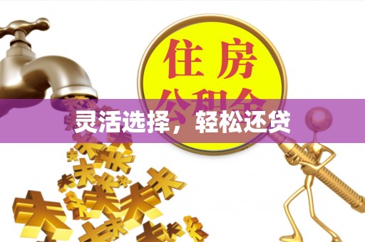七星灵活选择，轻松还贷
