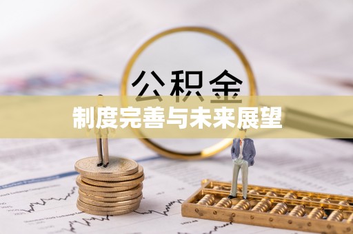 七星制度完善与未来展望