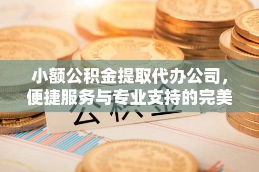 七星小额公积金提取代办公司，便捷服务与专业支持的完美结合