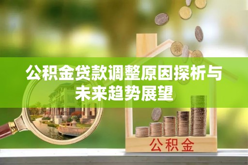七星公积金贷款调整原因探析与未来趋势展望