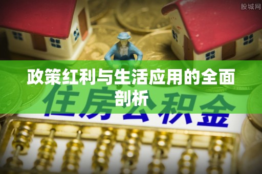 七星政策红利与生活应用的全面剖析