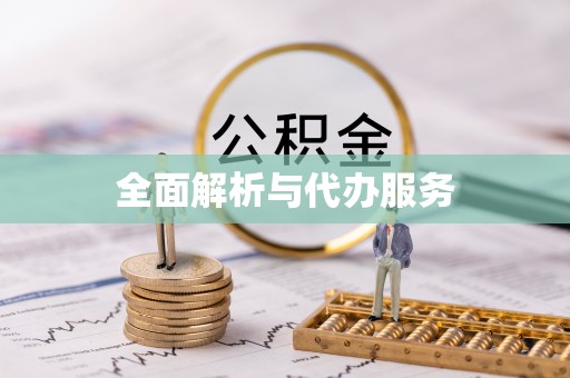 七星全面解析与代办服务