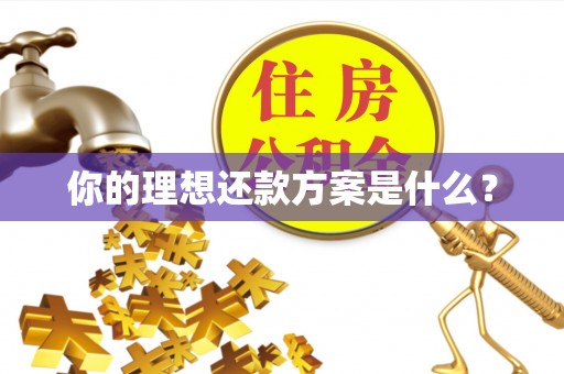 七星你的理想还款方案是什么？
