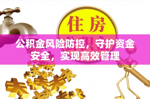 七星公积金风险防控，守护资金安全，实现高效管理
