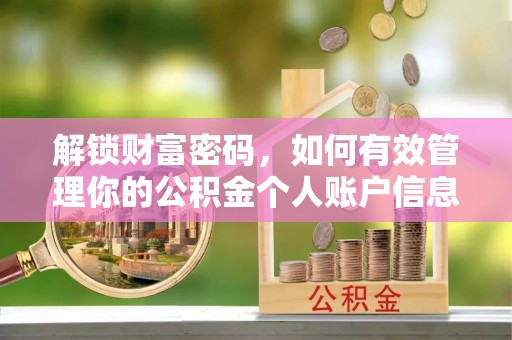 七星解锁财富密码，如何有效管理你的公积金个人账户信息