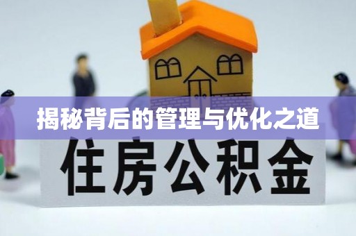 七星揭秘背后的管理与优化之道