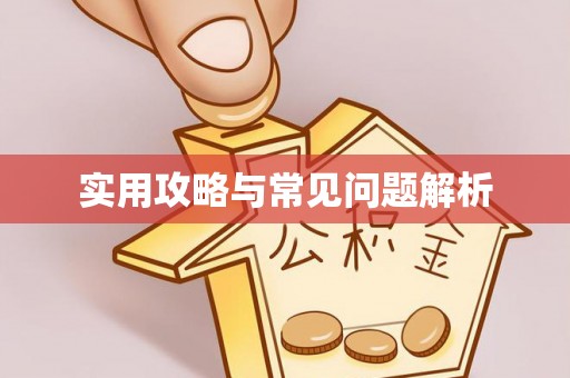 七星实用攻略与常见问题解析