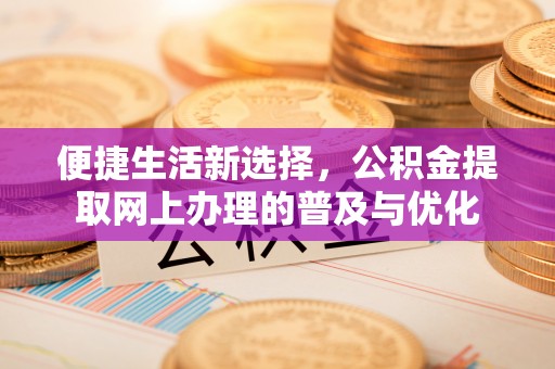 七星便捷生活新选择，公积金提取网上办理的普及与优化