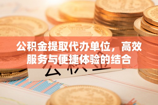 七星公积金提取代办单位，高效服务与便捷体验的结合