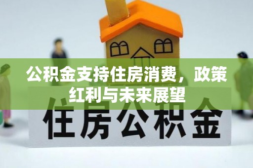 七星公积金支持住房消费，政策红利与未来展望