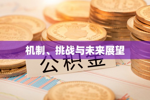 七星机制、挑战与未来展望