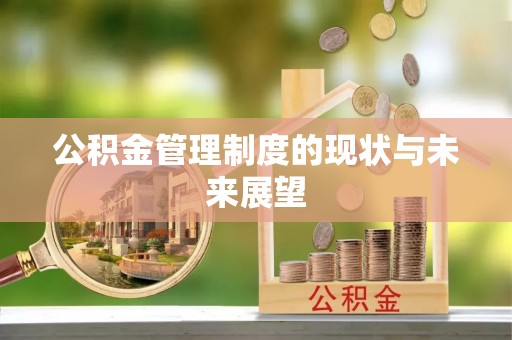 七星公积金管理制度的现状与未来展望