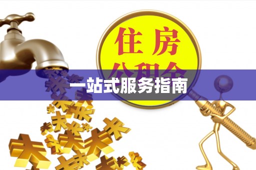 七星一站式服务指南