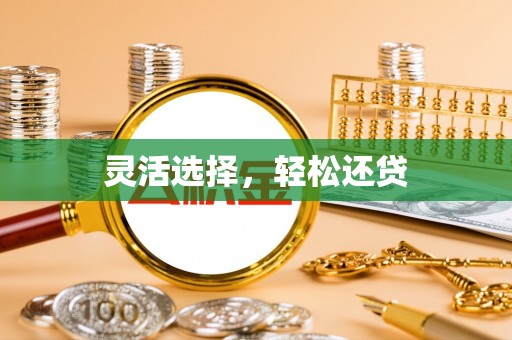 七星灵活选择，轻松还贷