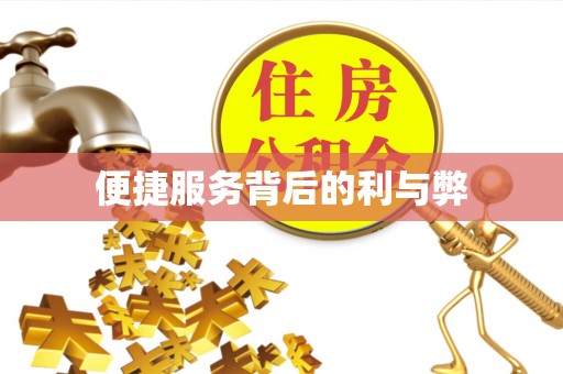 七星便捷服务背后的利与弊